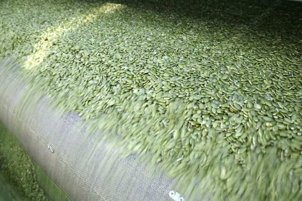 pumpkin kernel AA grade